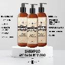 SASHINE Shampoo Fichas Tecnicas.webp