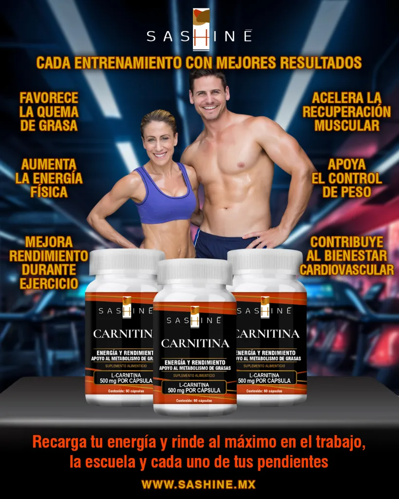 Carnitina Flyer.webp