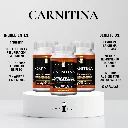 Carnitina Fichas Tecnicas.webp